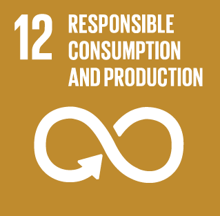 SBG_12_Sustainable_consumption_and_production