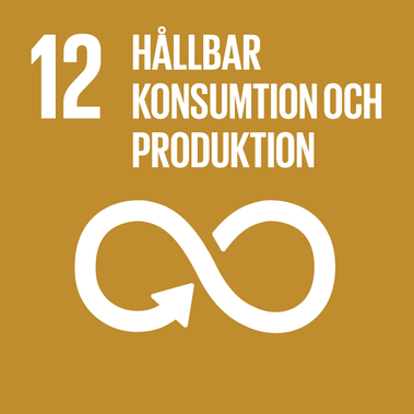 SBG_12_Hållbar_konsumtion_och_produktion